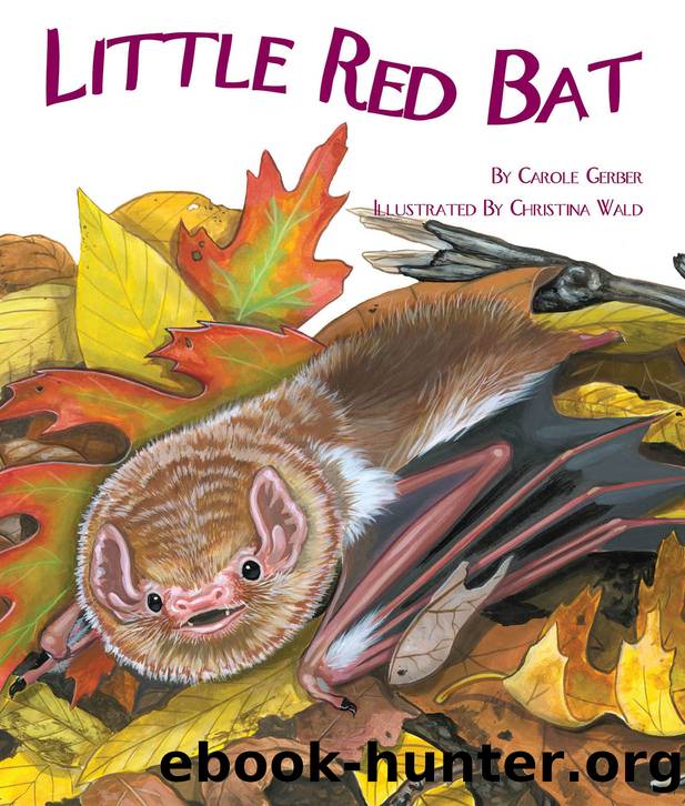 Little Red Bat by Carole Gerber/Christina Wald