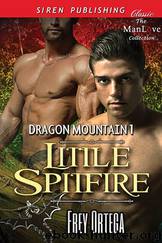 Little Spitfire [Dragon Mountain 1] (Siren Publishing Classic ManLove) by Frey Ortega