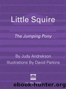 Little Squire by Judy Andrekson