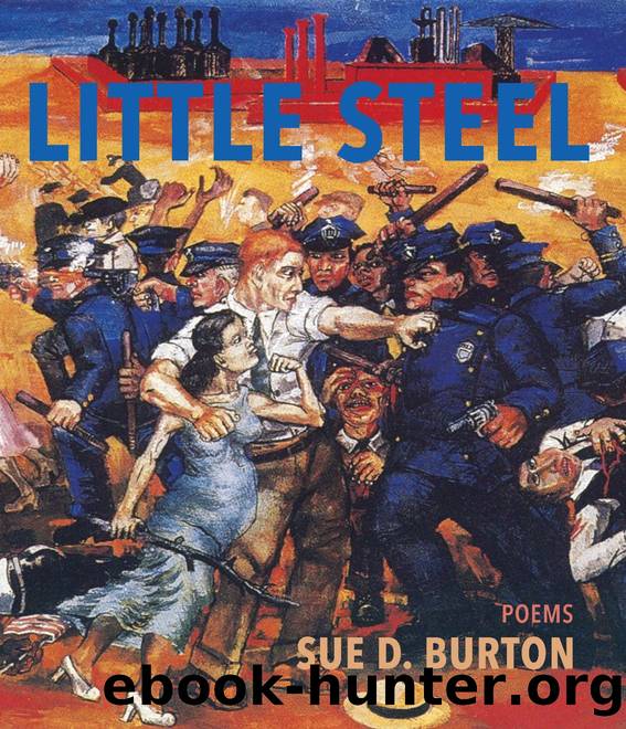 Little Steel by Sue D. Burton
