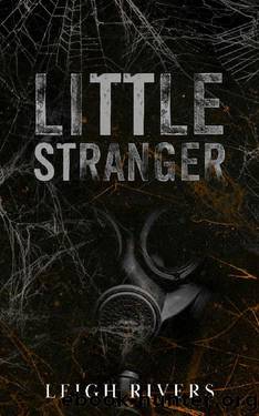 Little Stranger: A Dark Taboo Romance by Leigh Rivers