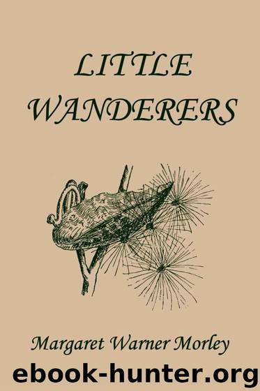 Little Wanderers, Illustrated Edition (Yesterday's Classics) by Morley Margaret W