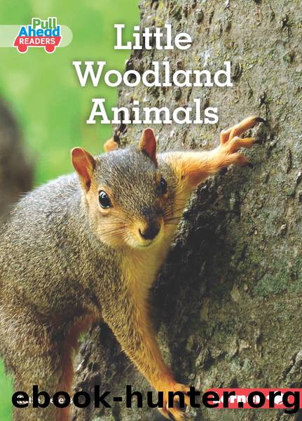 Little Woodland Animals by Katie Peters