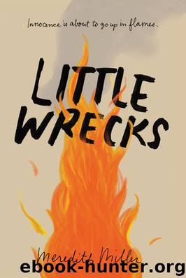 Little Wrecks by Meredith Miller