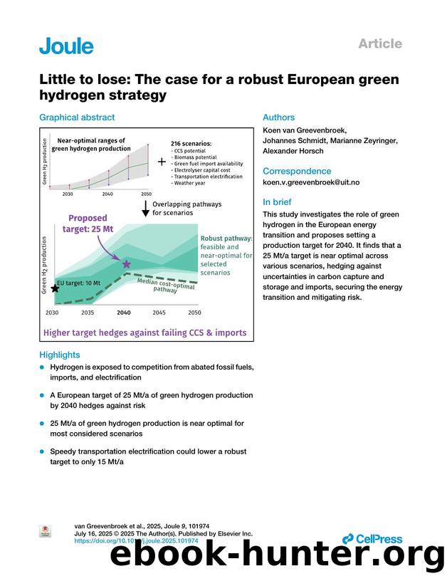 Little to lose: The case for a robust European green hydrogen strategy by Koen van Greevenbroek & Johannes Schmidt & Marianne Zeyringer & Alexander Horsch