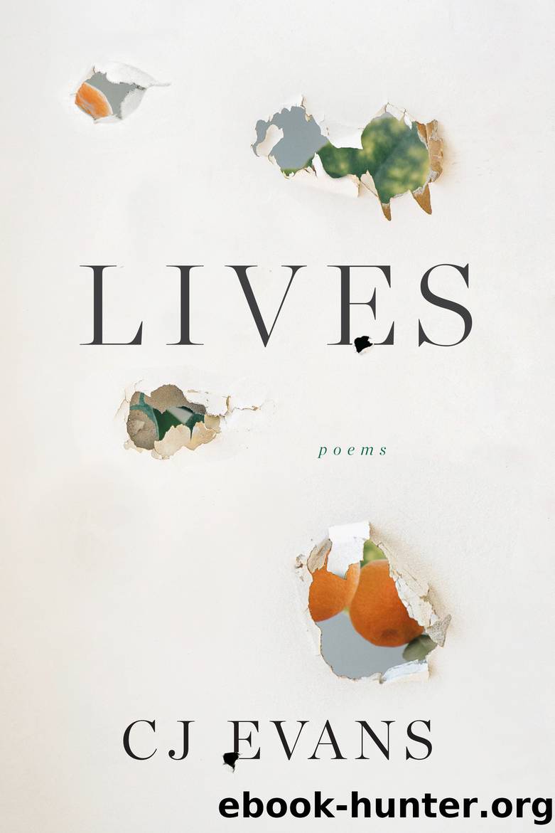 Lives by CJ Evans