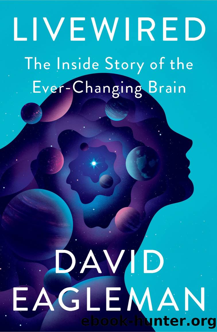 Livewired by David Eagleman