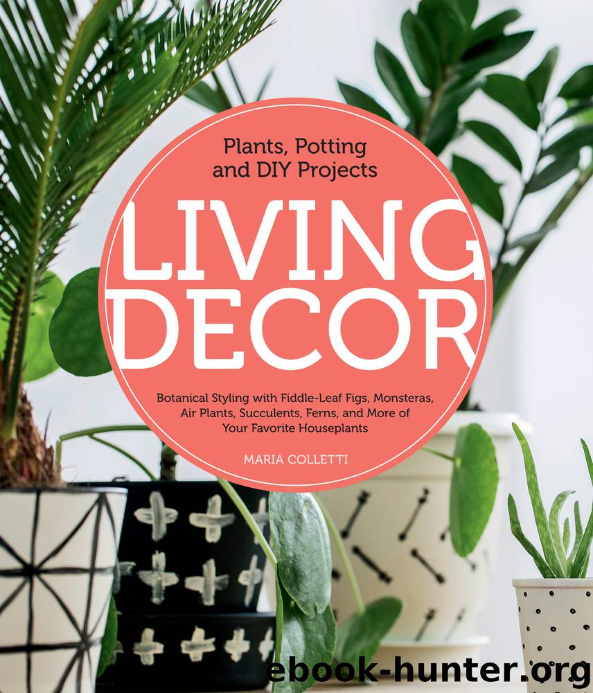 Living Decor by Maria Colletti