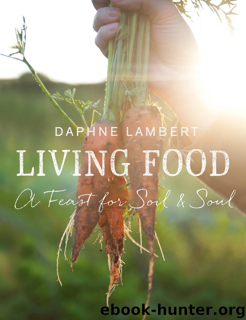 Living Food by Daphne Lambert