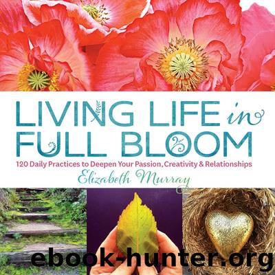 Living Life in Full Bloom by Elizabeth Murray
