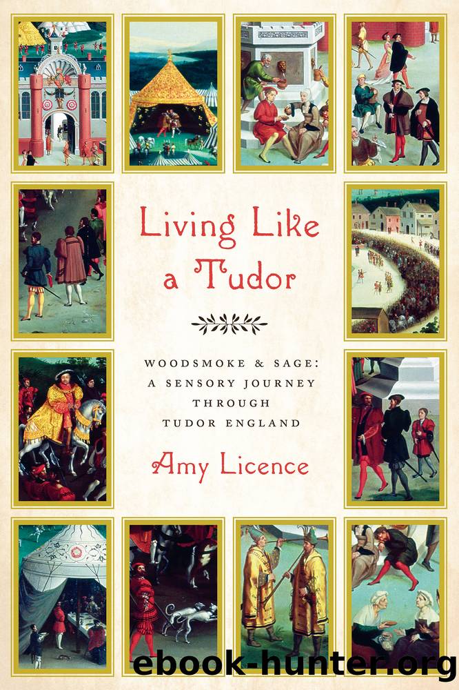 Living Like a Tudor by Amy Licence