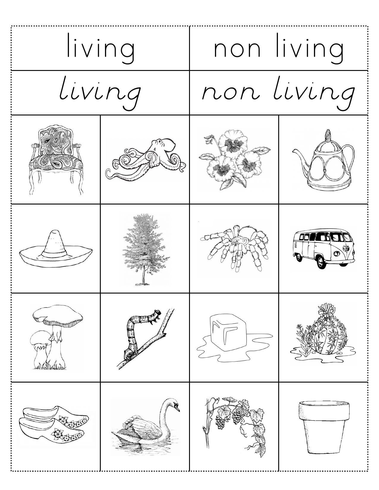 Living Nonliving cut and paste sheet by Brian Mathews