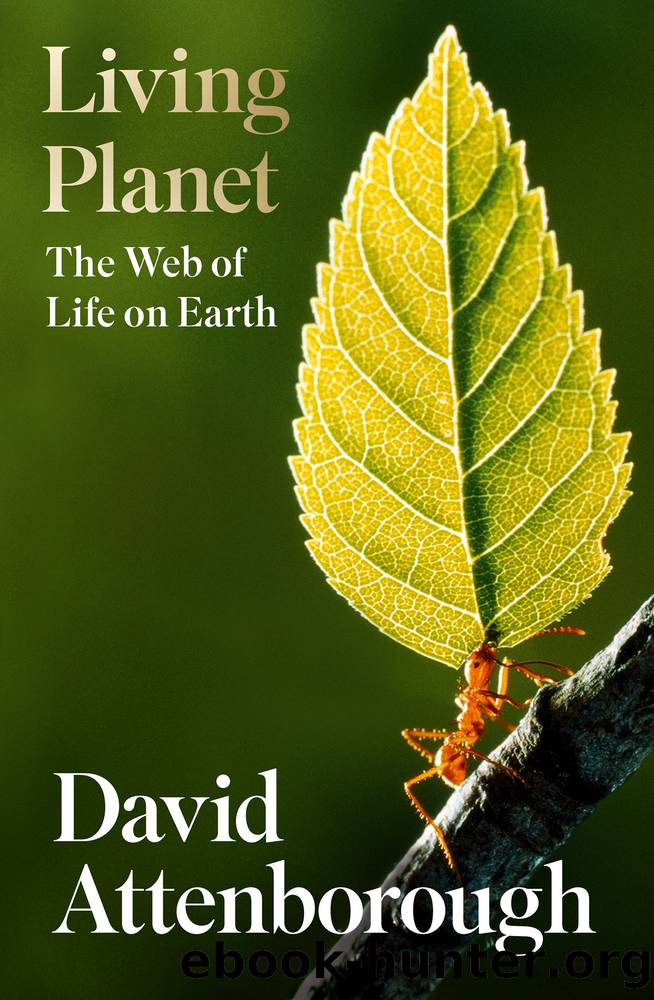 Living Planet by David Attenborough