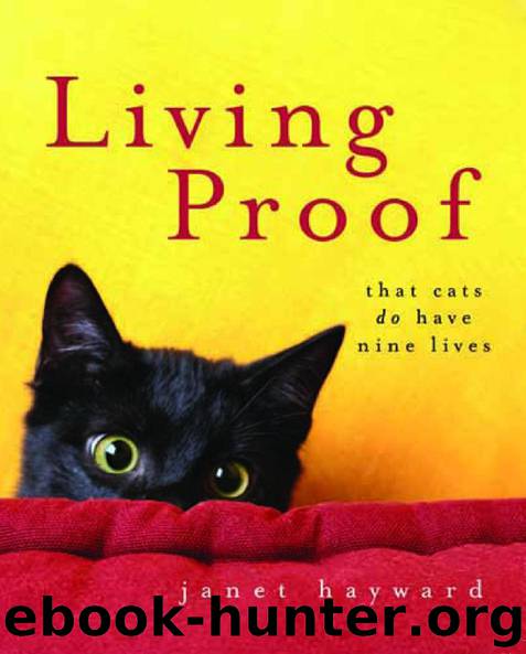 Living Proof That Cats Do Have Nine Lives by Janet Hayward