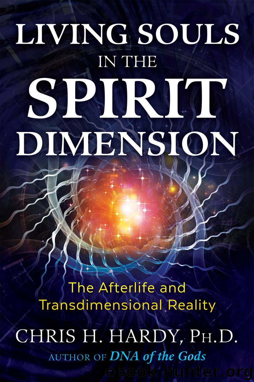 Living Souls in the Spirit Dimension by Chris H. Hardy