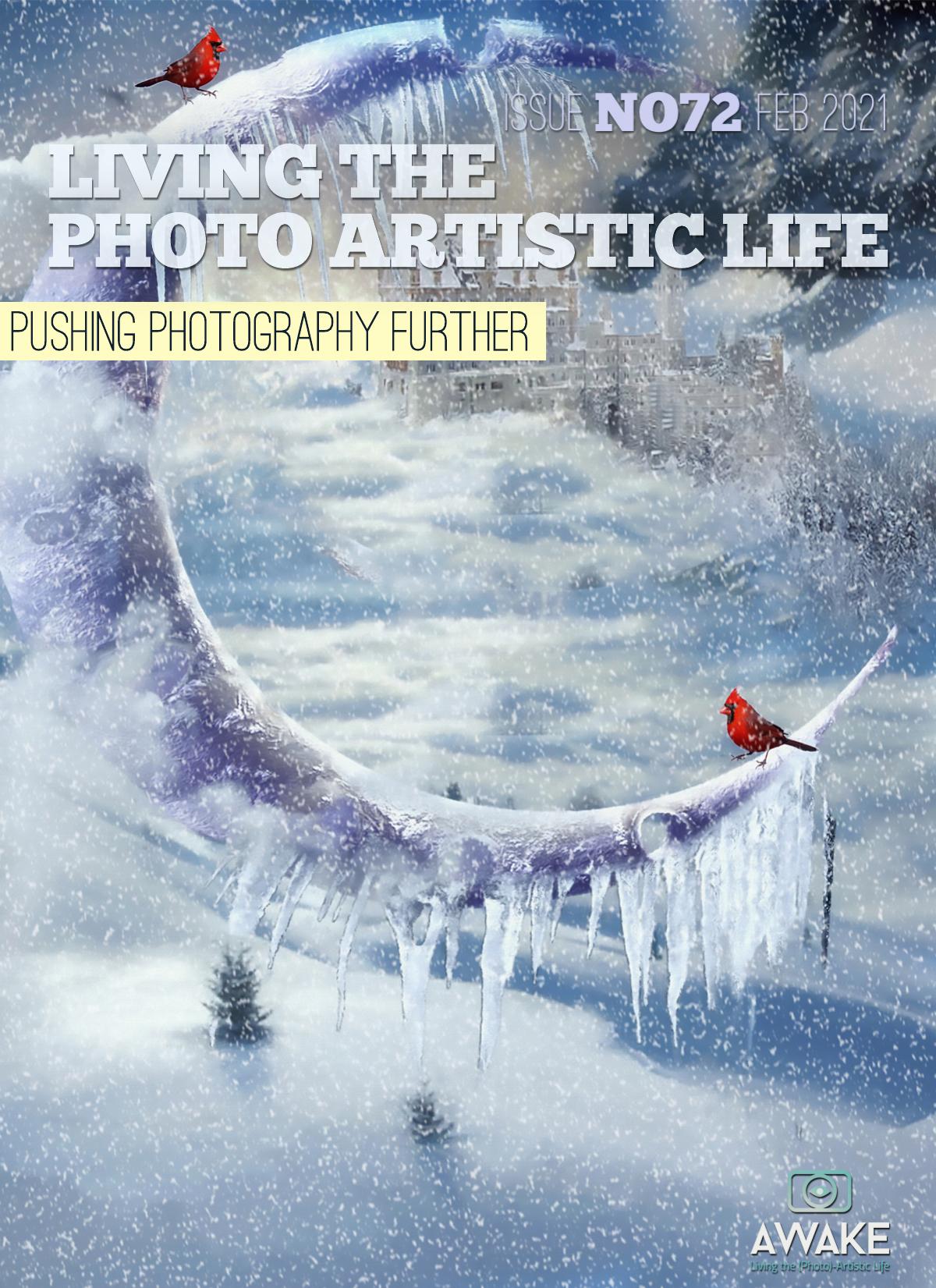Living The Photo Artistic Life - June 2020 by Unknow