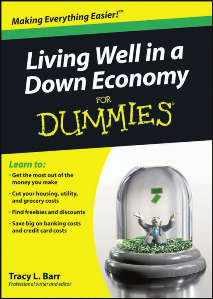 Living Well in a Down Economy for DUMmIES by Unknown
