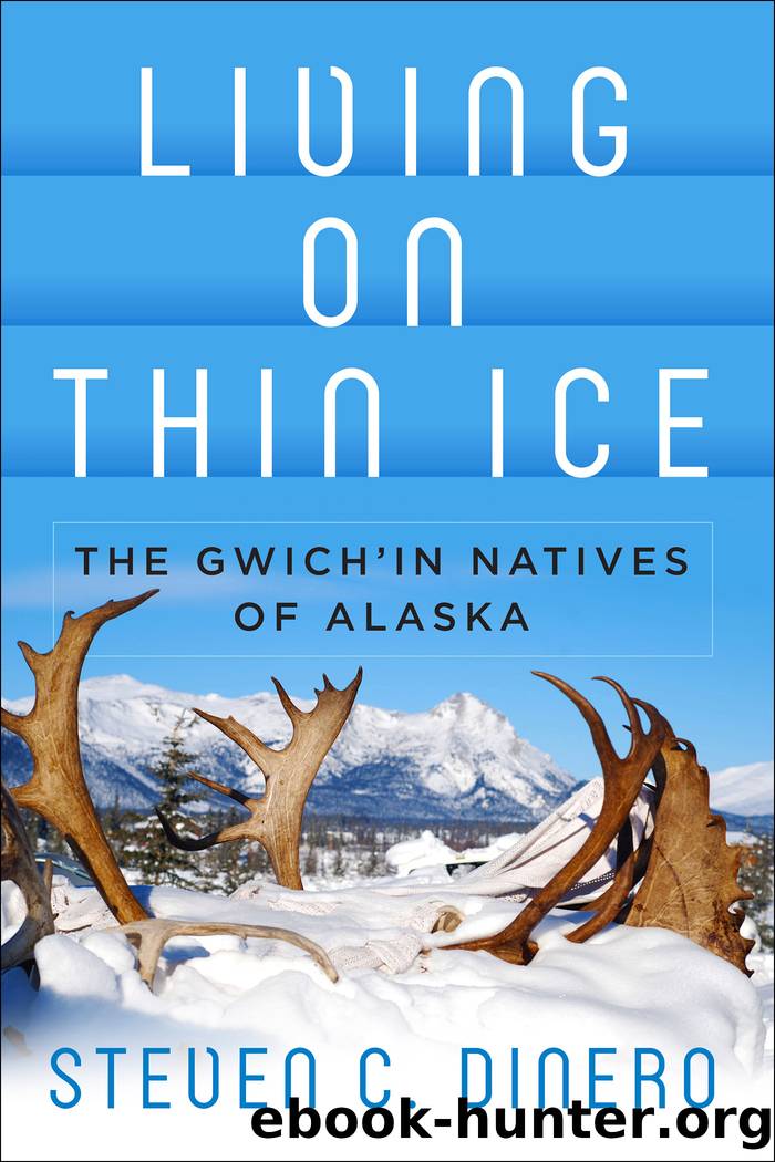 Living on Thin Ice by Steven C. Dinero
