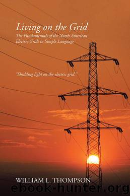 Living on the Grid by William L. Thompson