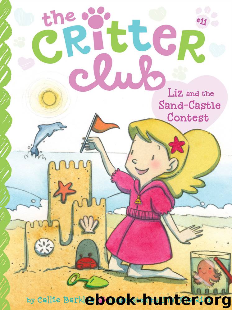 Liz and the Sand Castle Contest by Callie Barkley