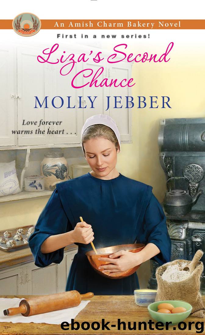 Liza's Second Chance by Molly Jebber
