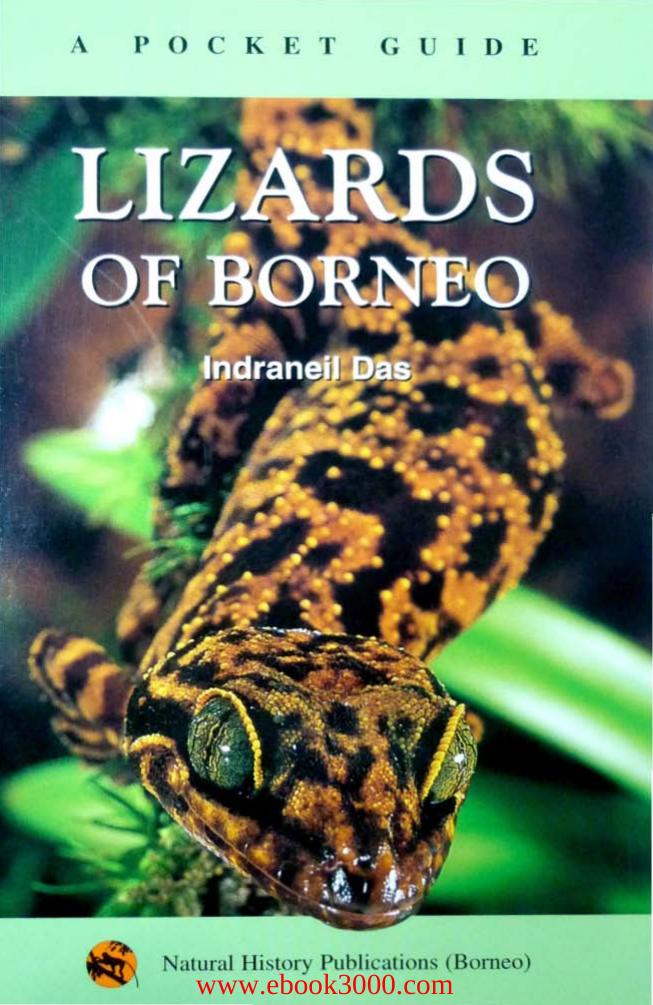 Lizards of Borneo: A Pocket Guide by Indraneil Das by Unknow