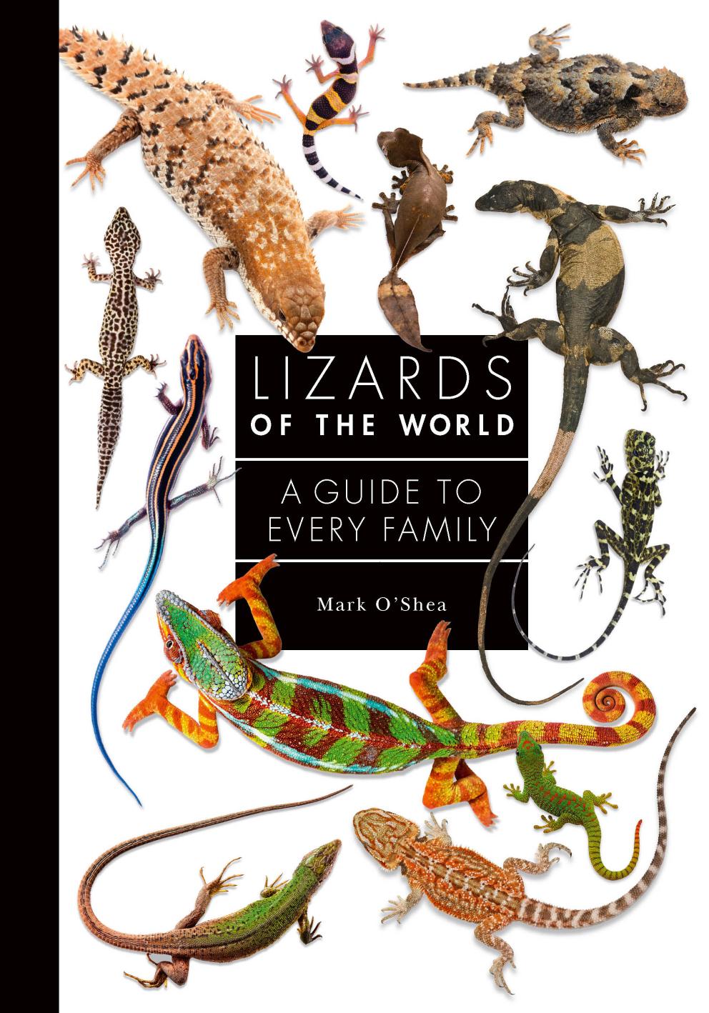 Lizards of the World: A Guide to Every Family by Mark O'Shea