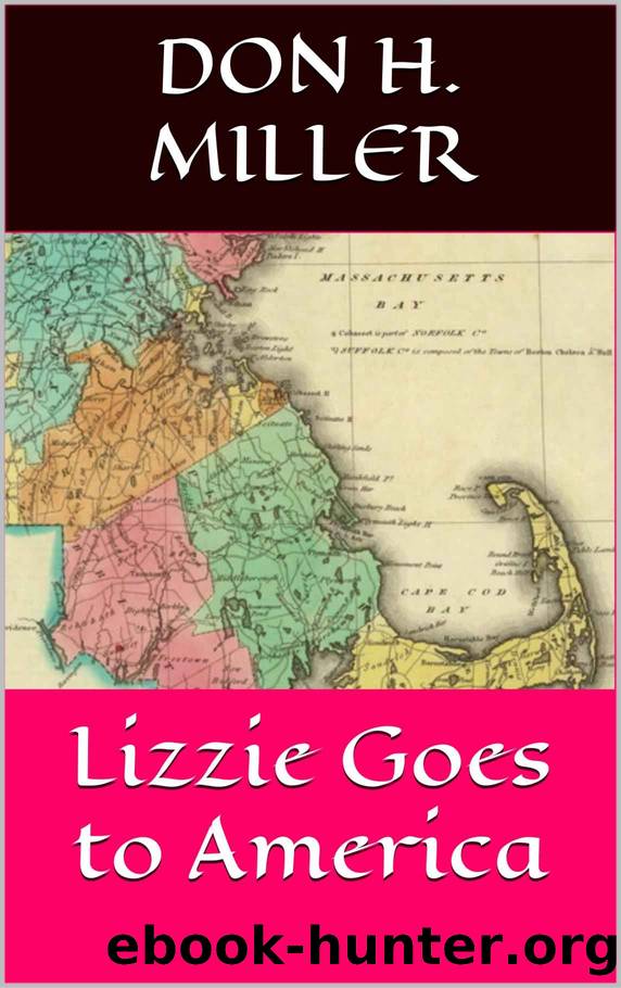 Lizzie Goes to America by Don H. Miller