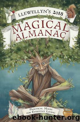 Llewellyn's 2018 Magical Almanac by Sandra Kynes