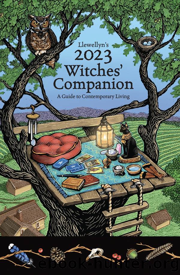 Llewellyn's 2023 Witches' Companion by James Kambos