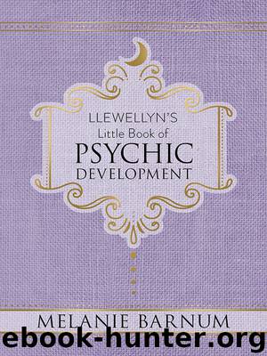 Llewellyn's Little Book of Psychic Development by Melanie Barnum