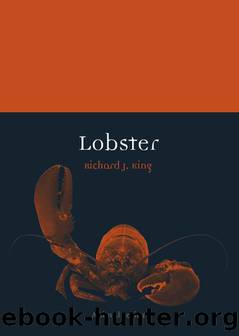 Lobster by Richard J. King