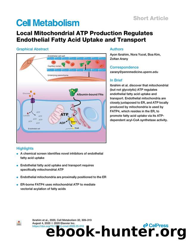 Local Mitochondrial ATP Production Regulates Endothelial Fatty Acid Uptake and Transport by Ayon Ibrahim & Nora Yucel & Boa Kim & Zoltan Arany