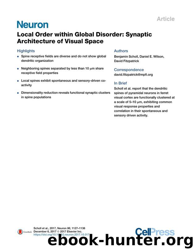 Local Order within Global Disorder: Synaptic Architecture of Visual Space by Benjamin Scholl & Daniel E. Wilson & David Fitzpatrick