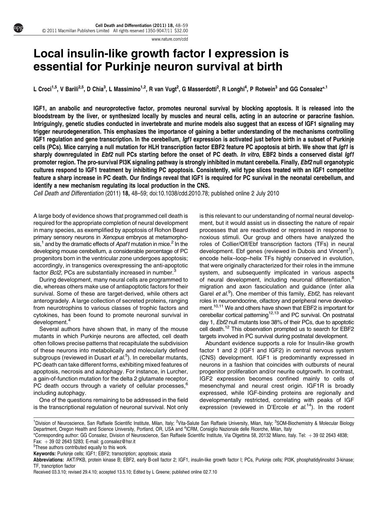 Local insulin-like growth factor I expression is essential for Purkinje neuron survival at birth by unknow