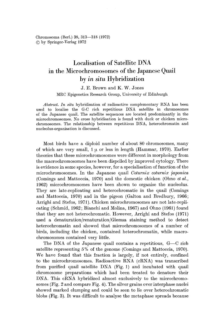 Localisation of satellite DNA in the microchromosomes of the Japanese quail by <Emphasis Type="Italic">in situ<Emphasis> hybridization by Unknown