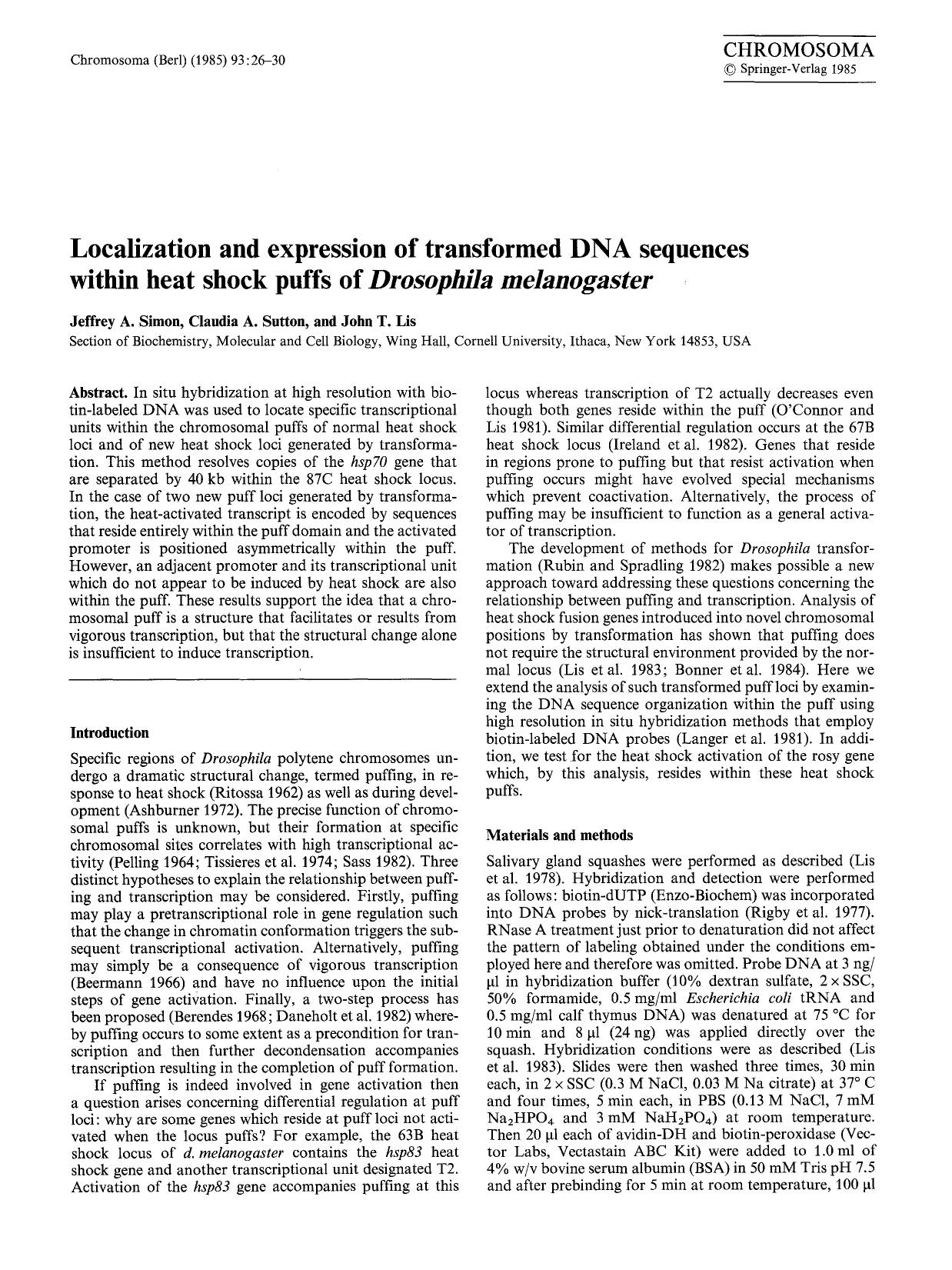 Localization and expression of transformed DNA sequences within heat shock puffs of <Emphasis Type="Italic">Drosophila melanogaster <Emphasis> by Unknown