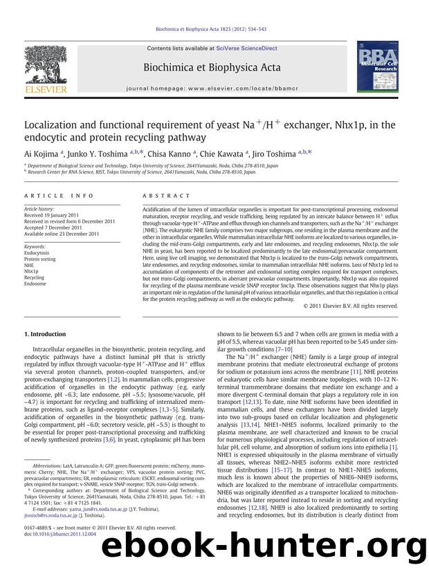 Localization and functional requirement of yeast Na+H+ exchanger, Nhx1p, in the endocytic and protein recycling pathway by Ai Kojima & Junko Y. Toshima & Chisa Kanno & Chie Kawata & Jiro Toshima