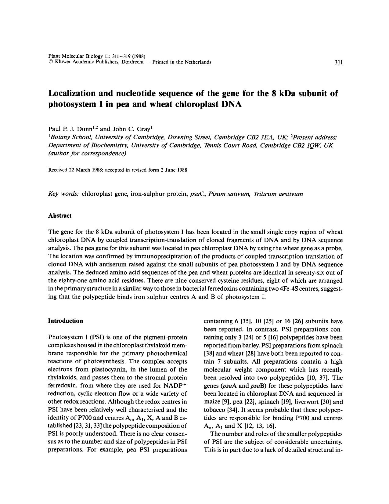 Localization and nucleotide sequence of the gene for the 8 kDa subunit of photosystem I in pea and wheat chloroplast DNA by Unknown