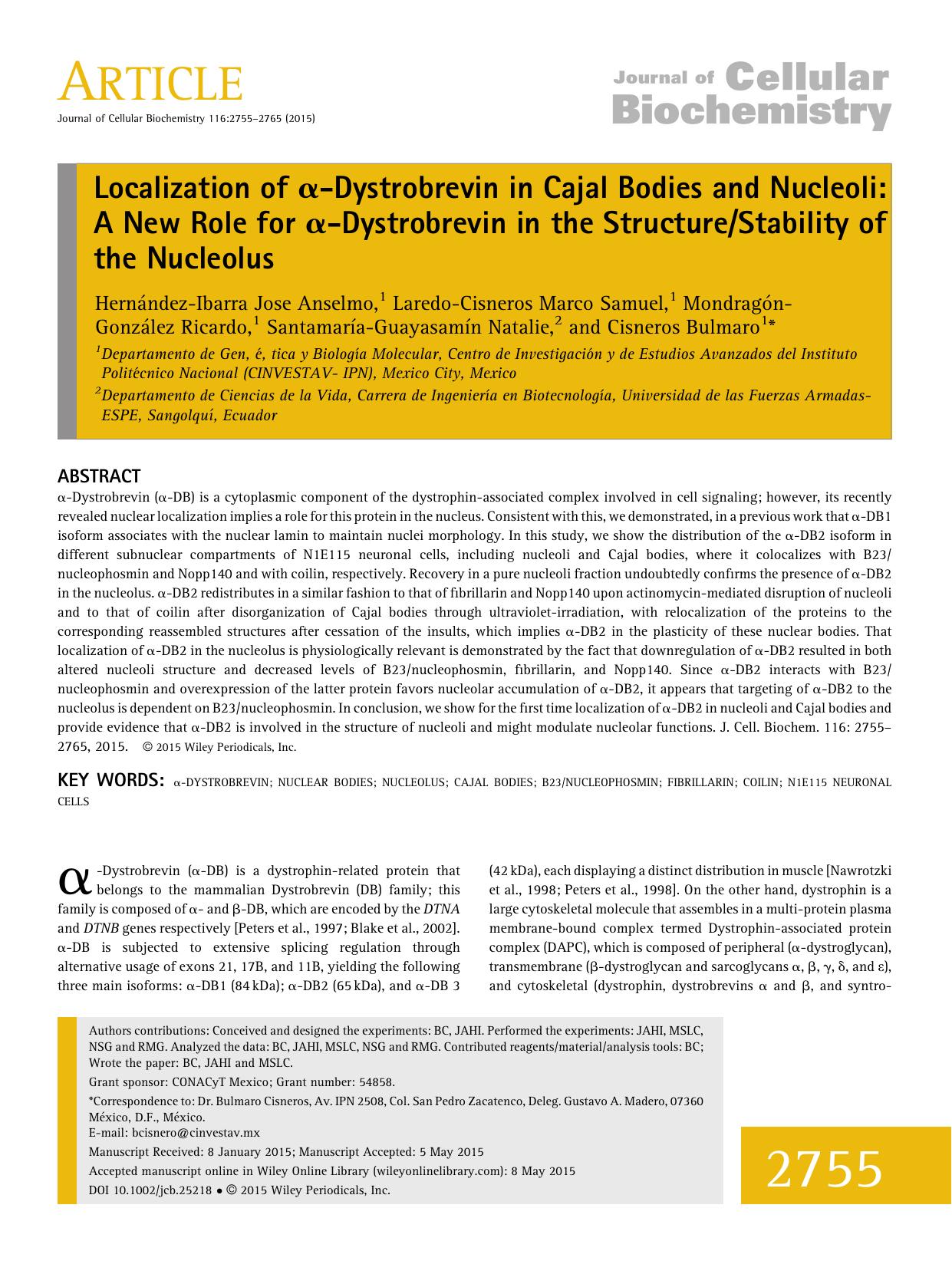 Localization of &#x03B1;-Dystrobrevin in Cajal Bodies and Nucleoli: A New Role for &#x03B1;-Dystrobrevin in the StructureStability of the Nucleolus by Unknown