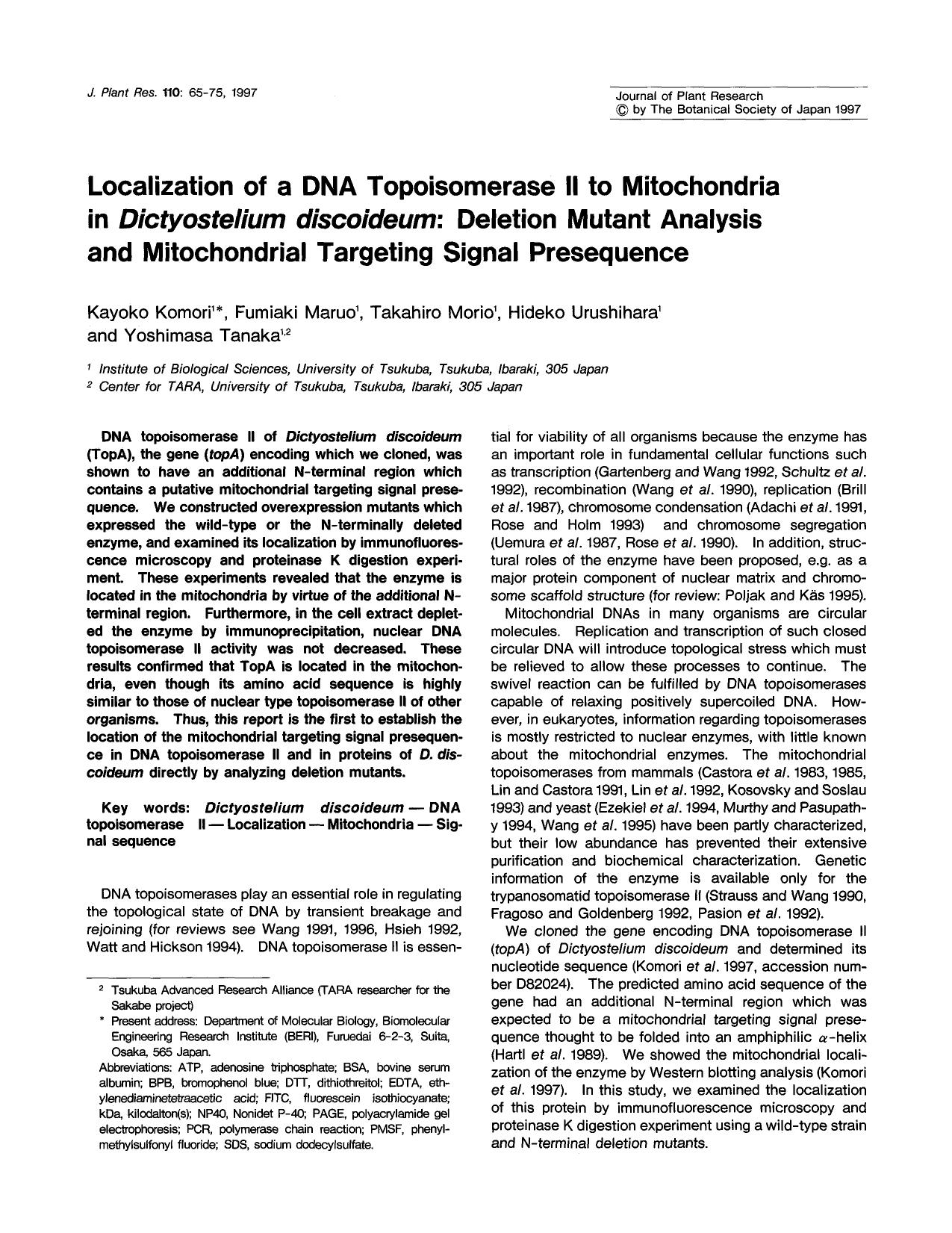 Localization of a DNA topoisomerase II to mitochondria in <Emphasis Type="Italic">Dictyostelium discoideum <Emphasis>: Deletion mutant analysis and mitochondrial targeting signal presequence by Unknown