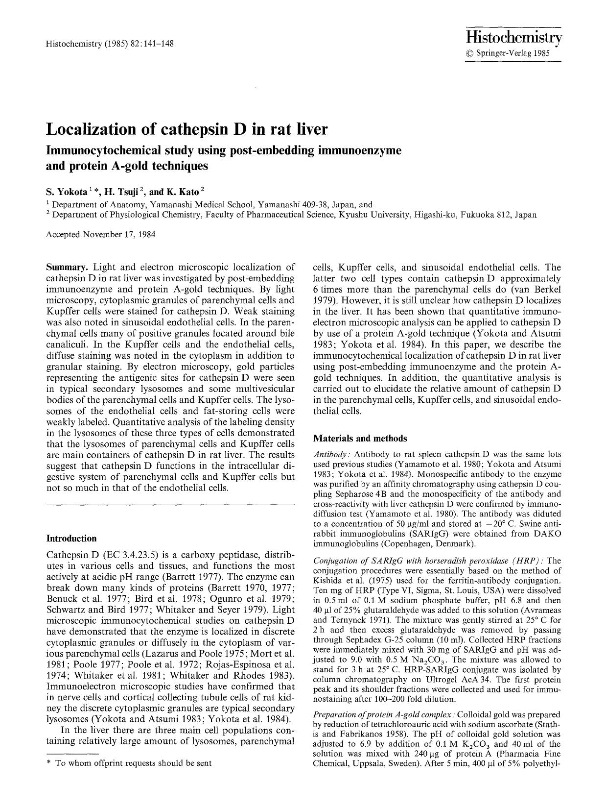 Localization of cathepsin D in rat liver by Unknown