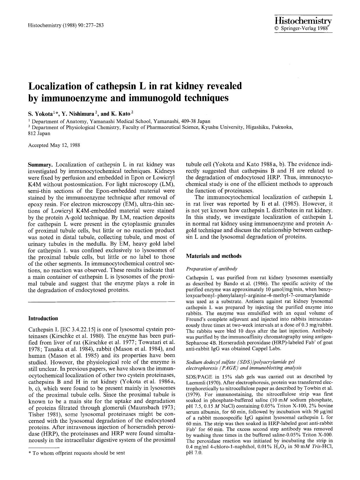 Localization of cathepsin L in rat kidney revealed by immunoenzyme and immunogold techniques by Unknown