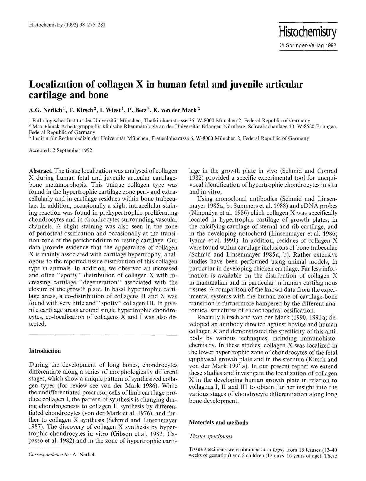 Localization of collagen X in human fetal and juvenile articular cartilage and bone by Unknown