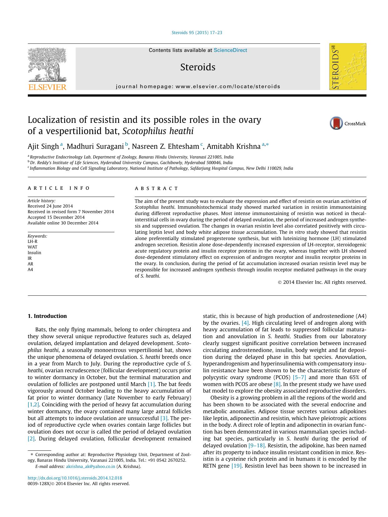 Localization of resistin and its possible roles in the ovary of a vespertilionid bat, Scotophilus heathi by Ajit Singh & Madhuri Suragani & Nasreen Z. Ehtesham & Amitabh Krishna