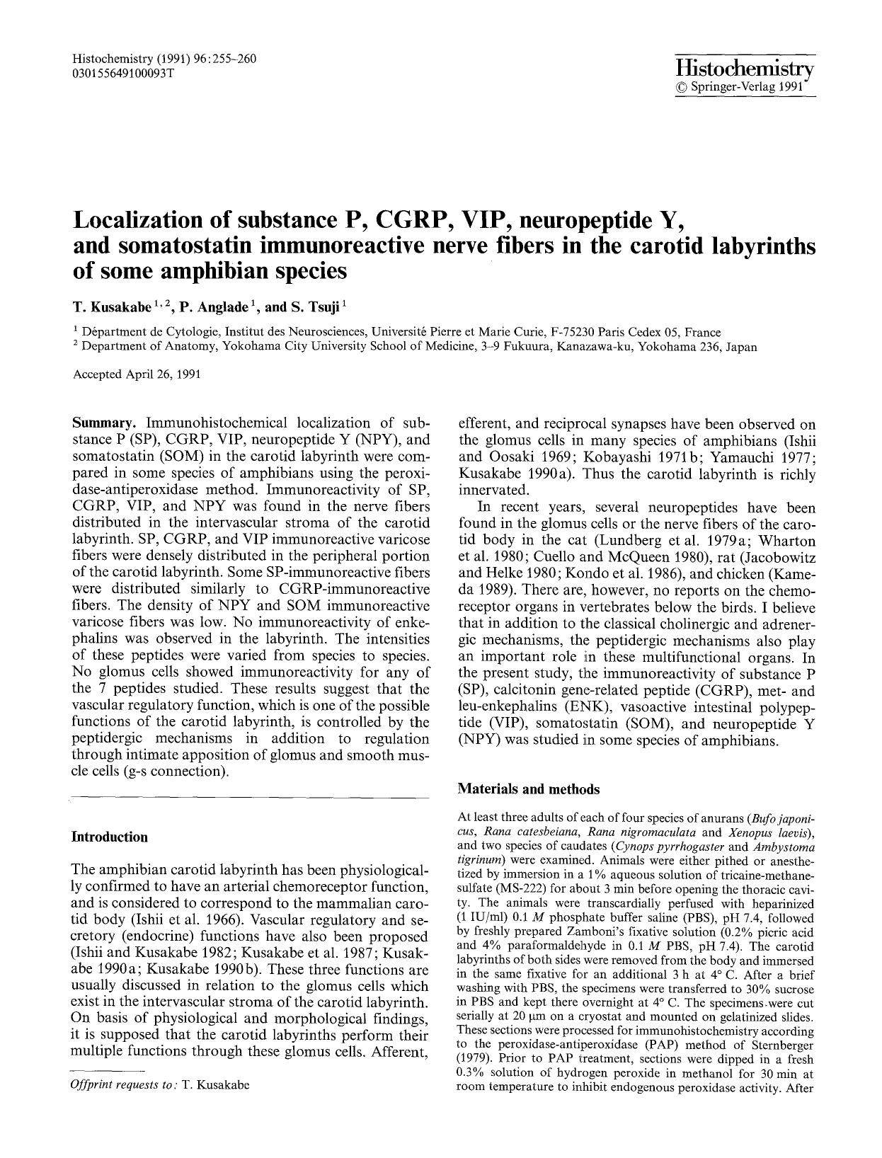 Localization of substance P, CGRP, VIP, neuropeptide Y, and somatostatin immunoreactive nerve fibers in the carotid labyrinths of some amphibian species by Unknown