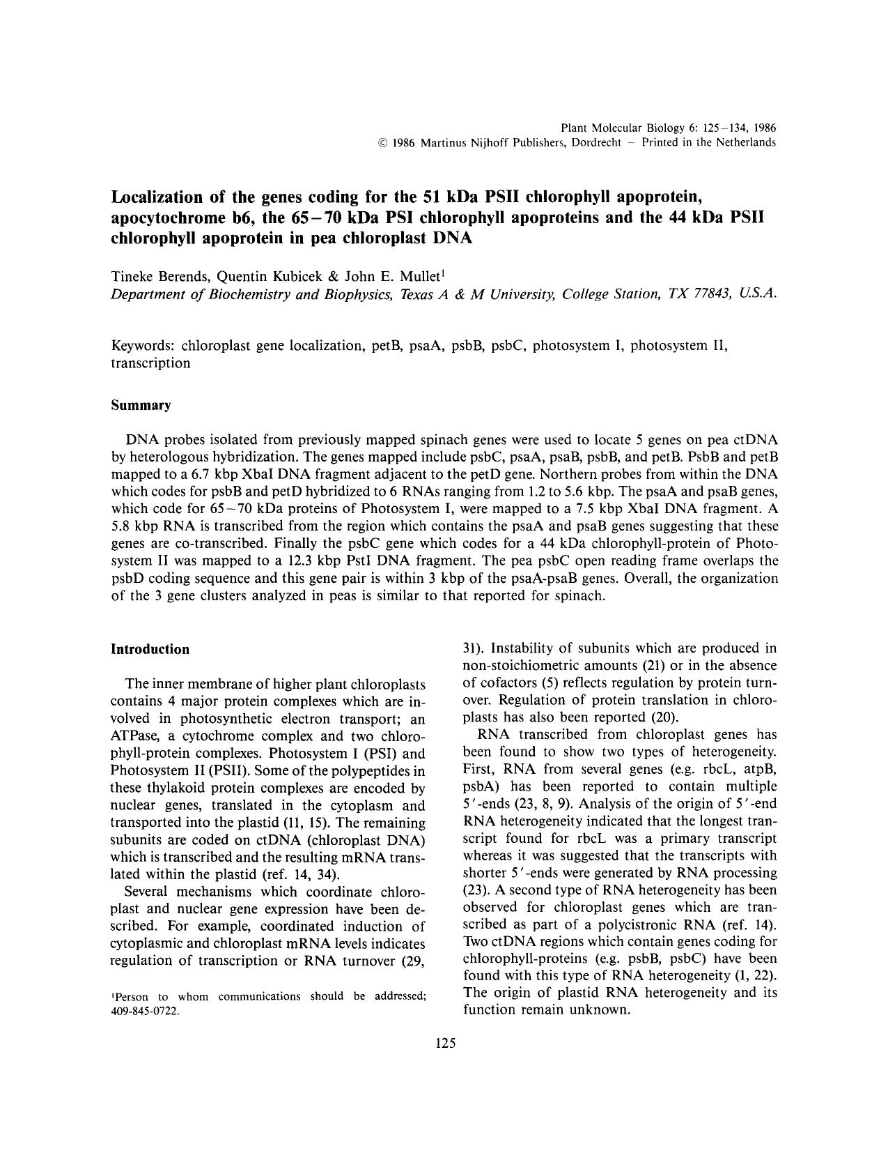 Localization of the genes coding for the 51 kDa PSII chlorophyll apoprotein, apocytochrome b6, the 65&#x2013;70 kDa PSI chlorophyll apoproteins and the 44 kDa PSII chlorophyll apop by Unknown