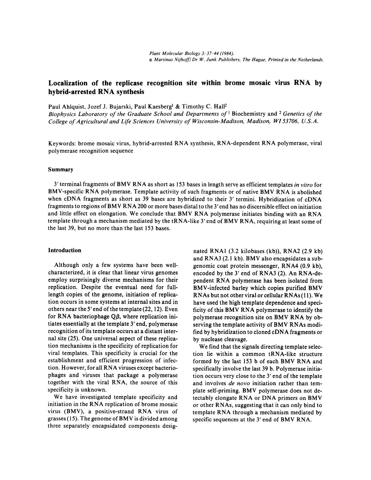 Localization of the replicase recognition site within brome mosaic virus RNA by hybrid-arrested RNA synthesis by Unknown