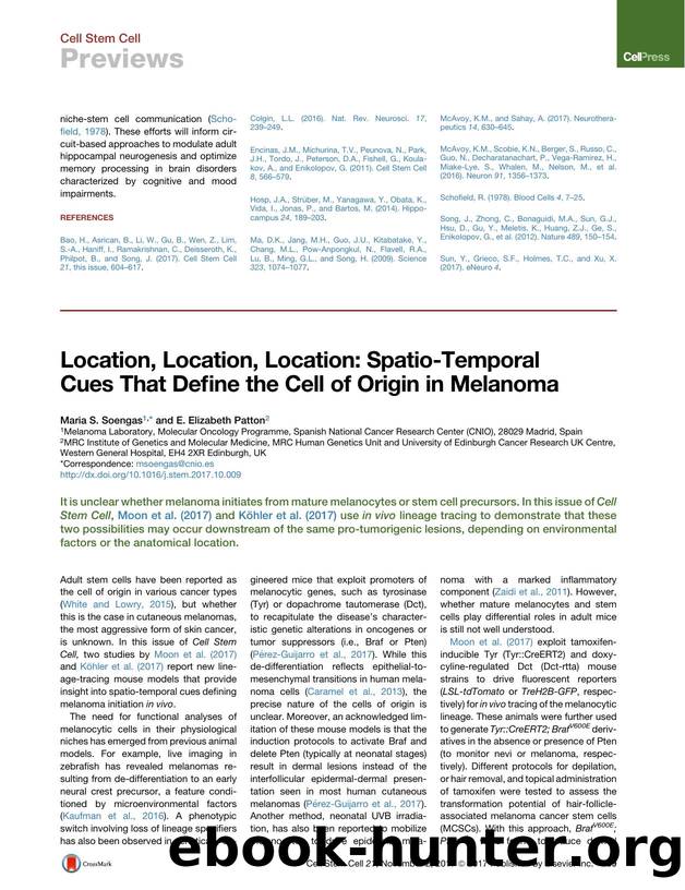 Location, Location, Location: Spatio-Temporal Cues That Define the Cell of Origin in Melanoma by Maria S. Soengas & E. Elizabeth Patton