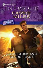Lock, Stock and Secret Baby by Cassie Miles